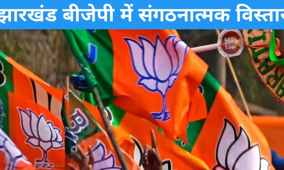 झारखंड बीजेपी में संगठनात्मक विस्तार: आदित्य साहू ने घोषित की नई प्रदेश टीम, 9 उपाध्यक्ष, 3 महामंत्री और 9 मंत्री बनाए गए 13 20260328 211453