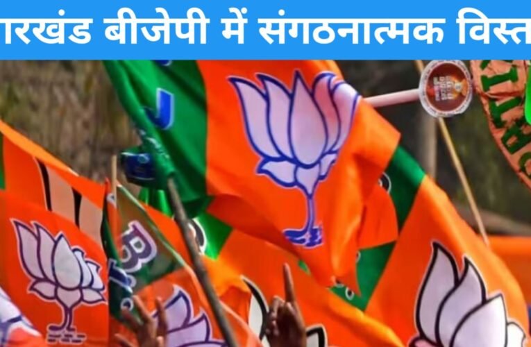 झारखंड बीजेपी में संगठनात्मक विस्तार: आदित्य साहू ने घोषित की नई प्रदेश टीम, 9 उपाध्यक्ष, 3 महामंत्री और 9 मंत्री बनाए गए 19 20260328 211453