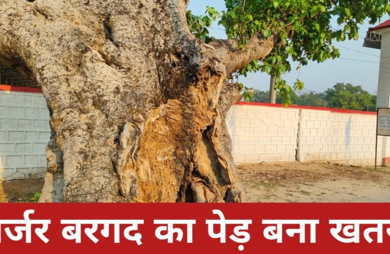 जर्जर बरगद का पेड़ बना खतरा, विशाल बरगद का पेड़ हादसे को दे रहा आमंत्रण, प्रशासन बेपरवाह 25 20260330 171032