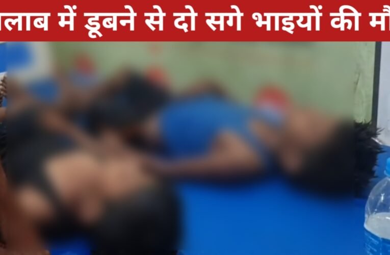 गोड्डा में दर्दनाक हादसा: तालाब में डूबने से दो सगे भाइयों की मौत 21 20260331 085239