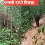Gomiya bokaro news