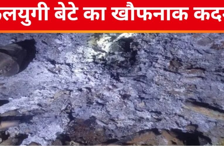     झारखंड: कलयुगी बेटे का खौफनाक कदम, बुजुर्ग मां की ह
