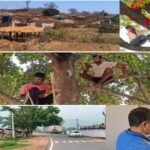 डिजिटल इंडिया की चमक से दूर झारखंड के 50 गांव: नेटवर्क के लिए आज भी पहाड़ों और पेड़ों का सहारा Chatra