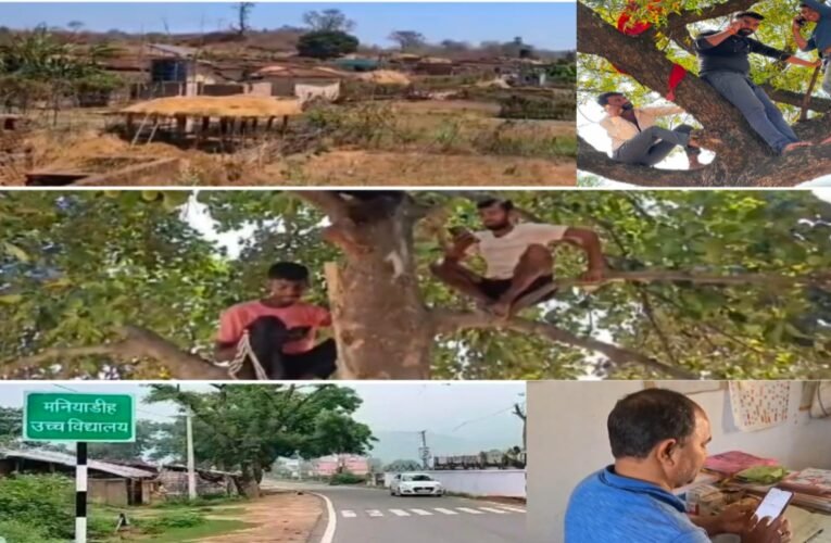 डिजिटल इंडिया की चमक से दूर झारखंड के 50 गांव: नेटवर्क के लिए आज भी पहाड़ों और पेड़ों का सहारा