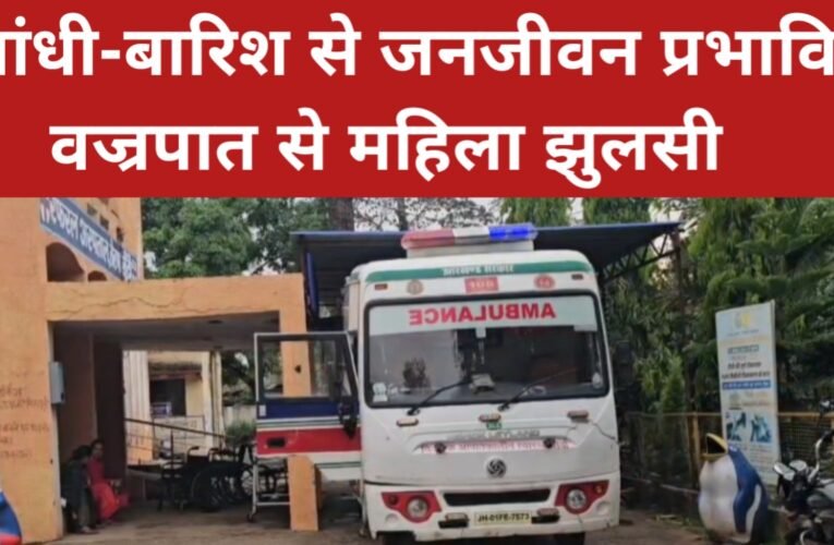 आंधी-बारिश से जनजीवन प्रभावित, वज्रपात से महिला झुलसी 24 20260407 094059