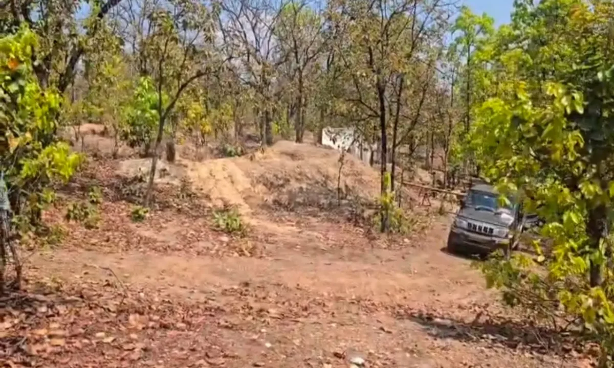 झारखंड: गिरिडीह में मिला 'सफेद सोना (Lithium)'! GSI ने असुरहड्डी के जंगलों में सर्वे पूरा कर ड्रिलिंग पॉइंट्स किए सील 41 20260408 093908