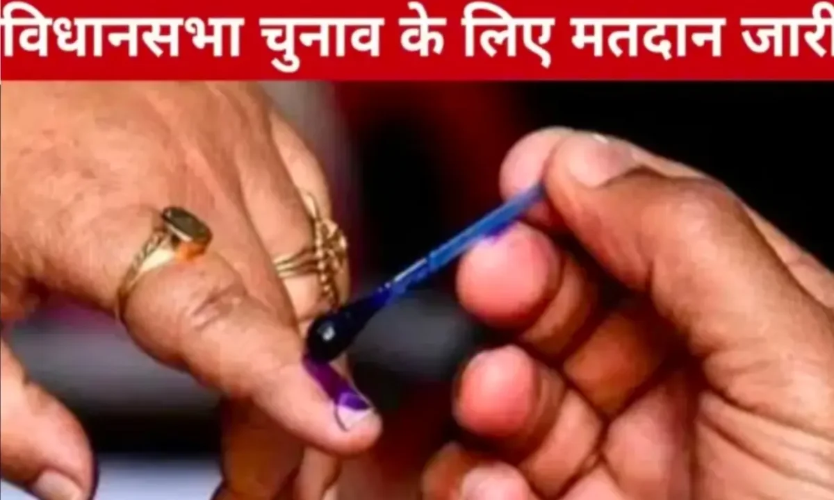 केरल, असम और पुडुचेरी में विधानसभा चुनाव के लिए मतदान जारी 43 20260409 112734