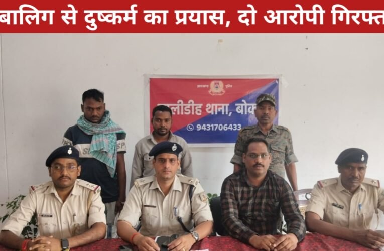 बोकारो में नाबालिग से दुष्कर्म का प्रयास, 12 घंटे में दो आरोपी गिरफ्तार 19 20260413 172154
