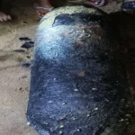 Baharagora: Suspicious 'Cylinder Bomb' Found Again
