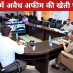 झारखंड में अवैध अफीम की खेती पर सख्ती, डीजीपी ने की उच्चस्तरीय समीक्षा बैठक 20260422_213145