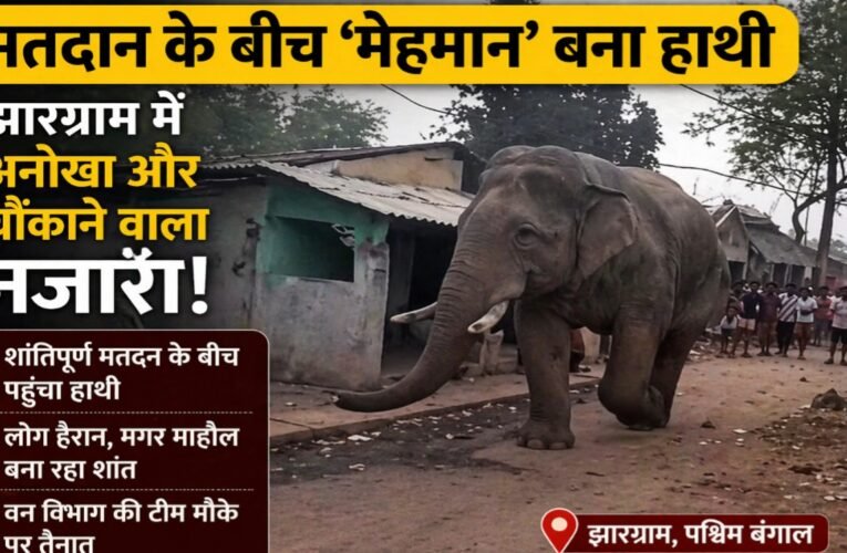 मतदान के बीच ‘मेहमान’ बना हाथी, झारग्राम में अनोखा और चौंकाने वाला नजारा