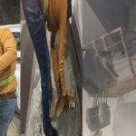 animalrescue-hemantsoren