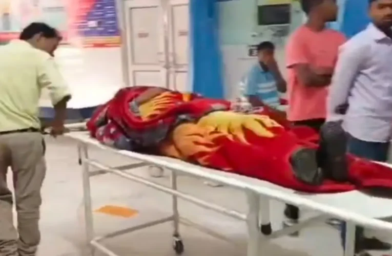 गुमला: स्कूल में मधुमक्खियों का भीषण हमला, दो दर्जन से अधिक छात्र घायल; चील के कारण भड़का था झुंड