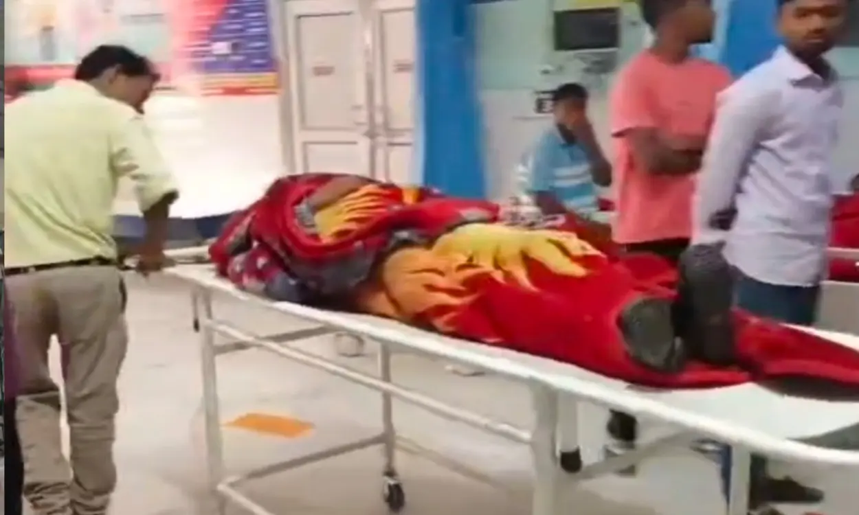 Gumla: Massive Bee Attack at School;