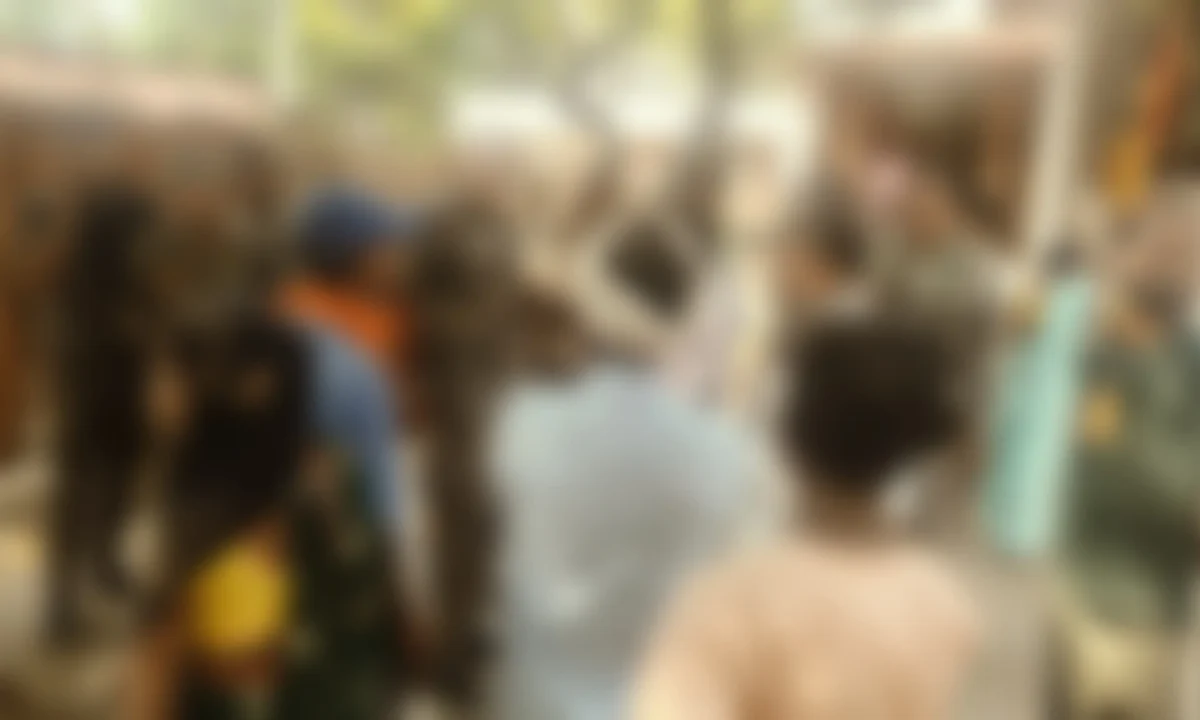 चतरा: सरकारी आवासीय विद्यालय की नाबालिग छात्रा गर्भवती, प्रधानाचार्य हिरासत में; जांच तेज 12 Picsart 26 04 09 22 39 24 321