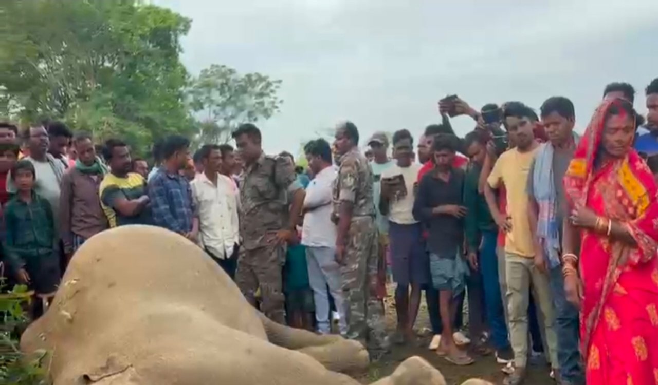 Elephant story