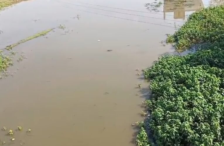 नई उम्मीदों पर पुराना ढर्रा: नगर परिषद की टालमटोल कार्यशैली से जनता परेशान