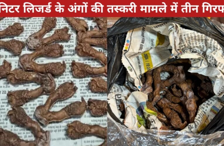 मॉनिटर लिजर्ड के अंगों की तस्करी मामले में तीन गिरफ्तार, रांची के होटल से 30 ‘हत्था’ बरामद