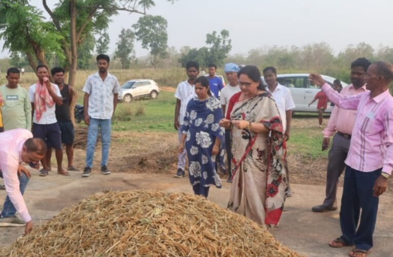 Jharkhand Millet Mission: Maduwa cultivation is being done on 200 acres in Simdega, farmers will get incentives