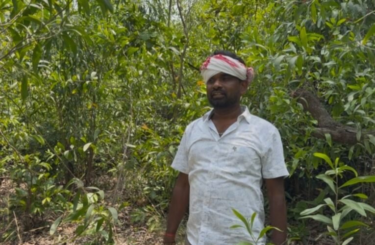 पोटका को नई सौगात: उड़ीसा बॉर्डर स्थित ‘तिरिंग घाटी’ बनेगा पर्यटन स्थल, विधायक संजीव सरदार ने किया निरीक्षण