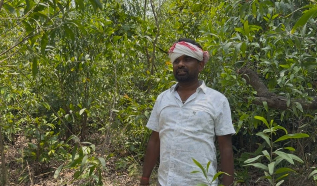 Tiring Valley located on the Odisha border will become a tourist destination.