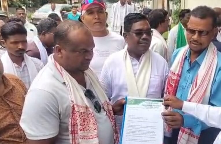 After Guruji's death, the demand for sending Anjali Soren to Rajya Sabha intensified, JMM workers arrived from Odisha.