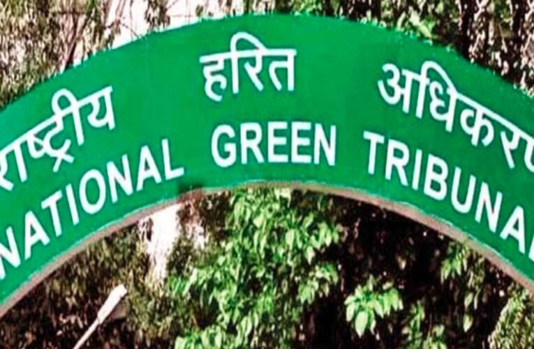सुबर्णरेखा नदी प्रदूषण पर NGT सख्त: जांच के लिए बनी संयुक्त समिति, जानें क्या है पूरा मामला