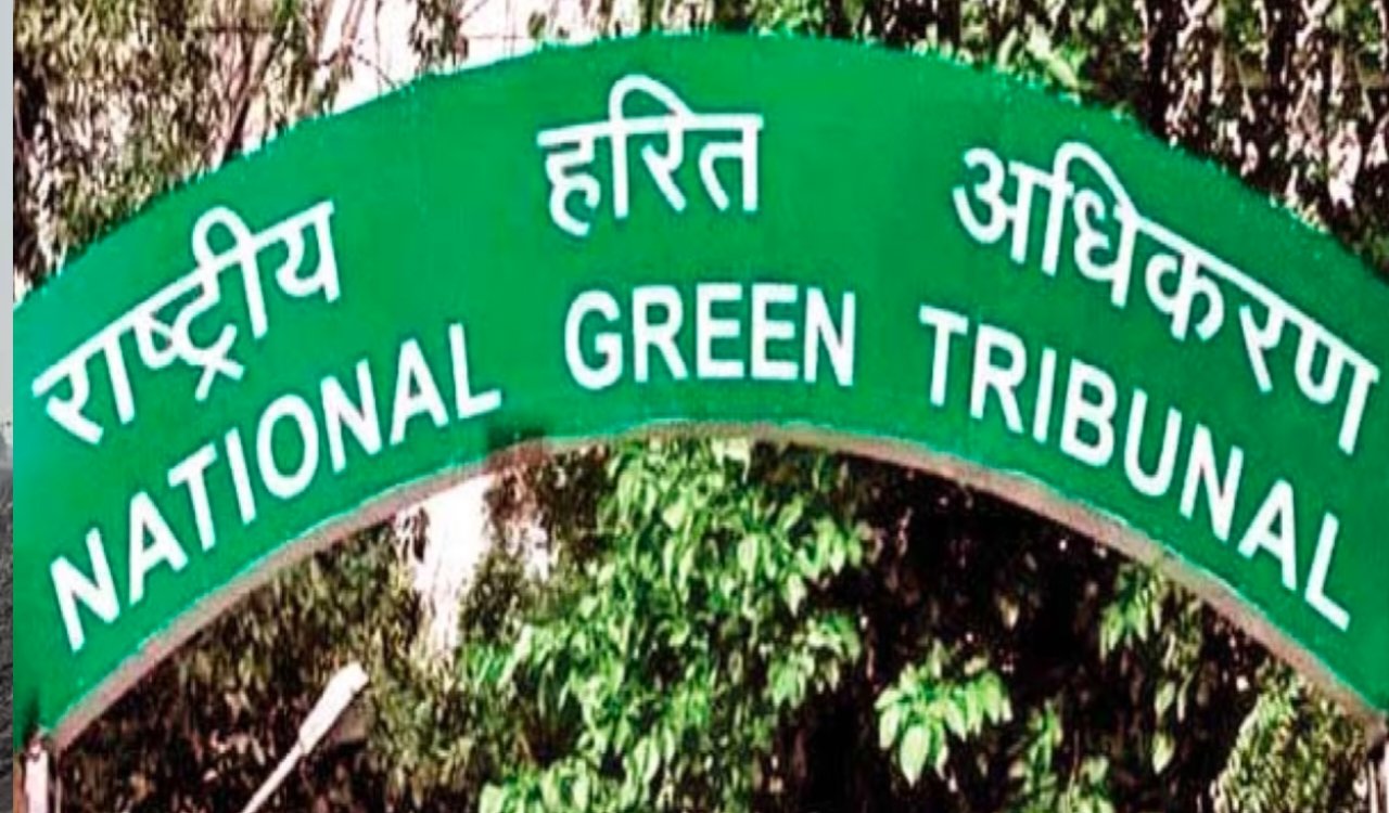 NGT Takes Strict Stance on Subarnarekha River Pollution