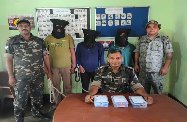 Three cyber criminals arrested