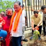 BJP's state-wide 'One Tree in the Name of Mother' campaign on World Environment Day, tree plantation done across the state