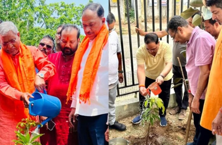 BJP's state-wide 'One Tree in the Name of Mother' campaign on World Environment Day, tree plantation done across the state