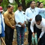 NHM planted trees on World Environment Day, gave message of environmental protection