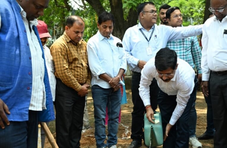 NHM planted trees on World Environment Day, gave message of environmental protection