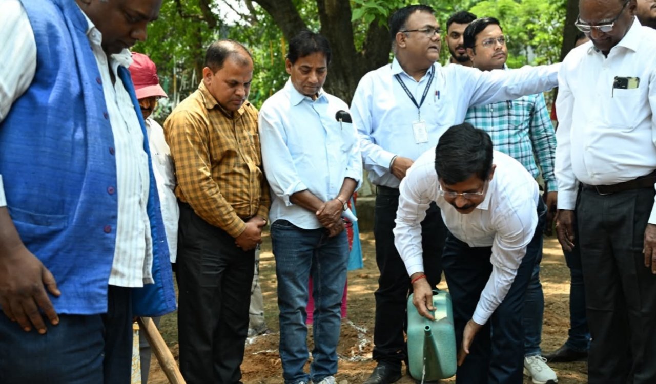NHM planted trees on World Environment Day, gave message of environmental protection