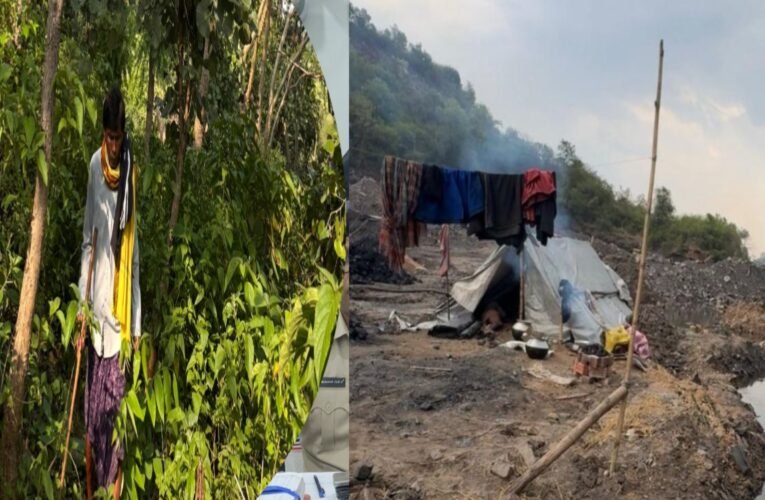 World Environment day : Jharkhand spl