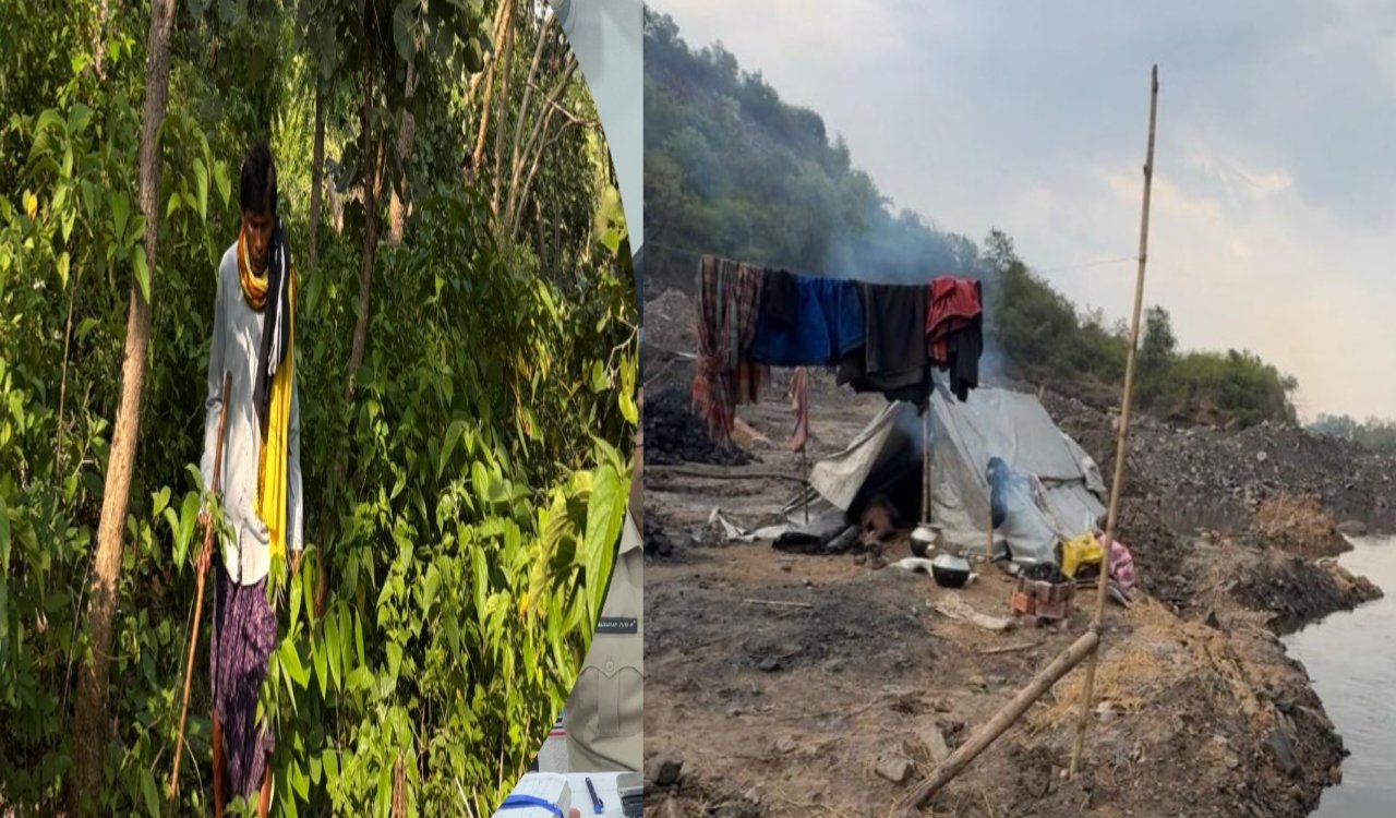 World Environment day : Jharkhand spl
