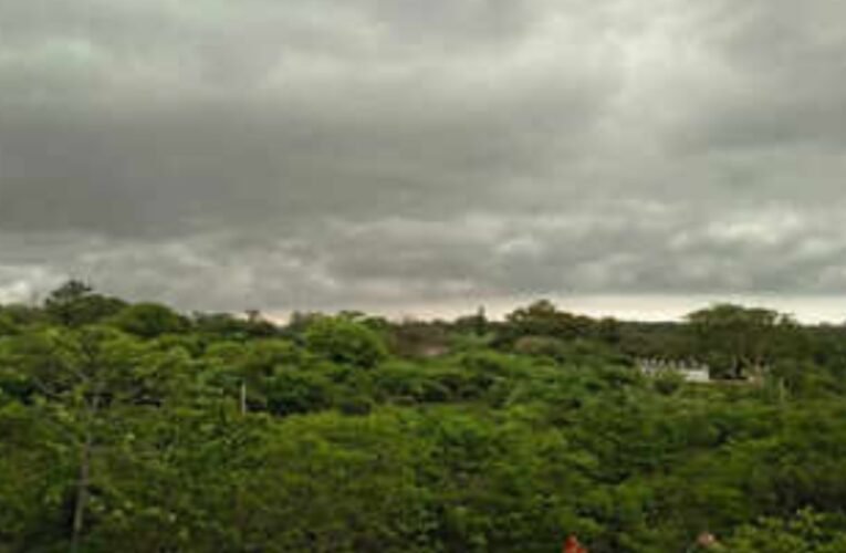 Scorching heat, partly cloudy sky and light showers likely across Ranchi and Jharkhand today