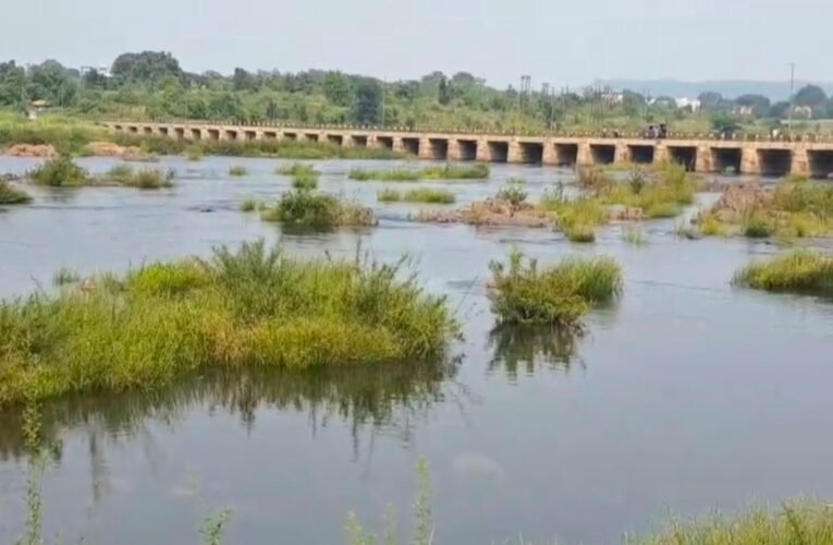 चांडिल डैम: जलस्तर बढ़ने से कई एकड़ फसल जलमग्न, विधायक सविता महतो के हस्तक्षेप के बाद खुले डैम के गेट