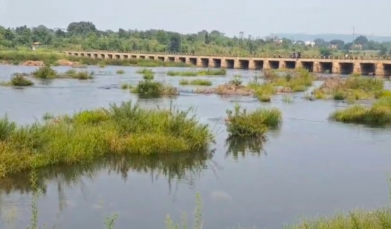 Saraykela news