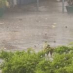 रांची सहित पूरे झारखंड में आज मौसम का हाल: आंशिक बादल छाए रहेंगे, गरज-चमक के साथ बारिश की संभावना Weather update for Ranchi and the rest of Jharkhand today: Partly cloudy skies with a possibility of rain accompanied by thunder and lightning.