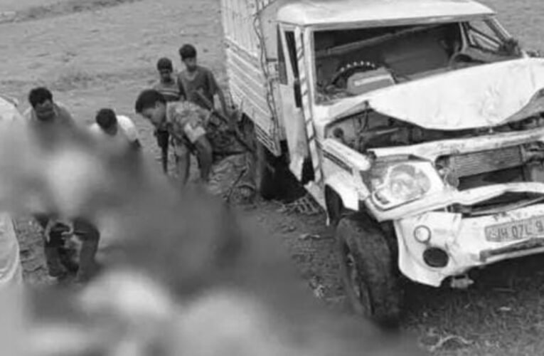 Pickup truck loaded with livestock overturns in Gumla; 3 animals dead, 5 critically injured.