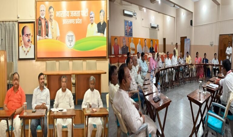 राज्यसभा चुनाव: एनडीए पूरी तरह एकजुट, परिमल नाथवानी की जीत सुनिश्चित – BJP