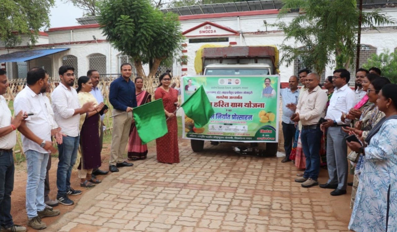 After London, Simdega’s Amrapali mangoes are now headed to Italy; a second international consignment of one tonne has been dispatched, with DC Kanchan Singh flagging it off.