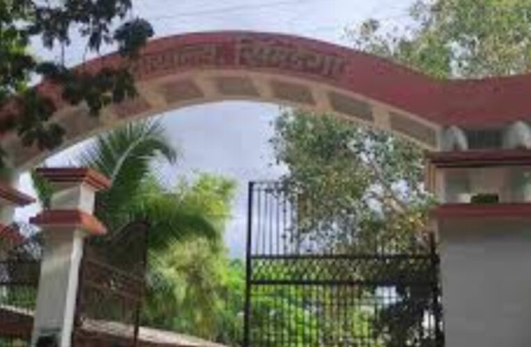 डायन बताकर महिला की हत्या करने वाले आरोपी को आजीवन कारावास