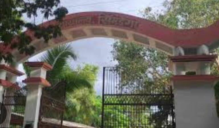 डायन बताकर महिला की हत्या करने वाले आरोपी को आजीवन कारावास