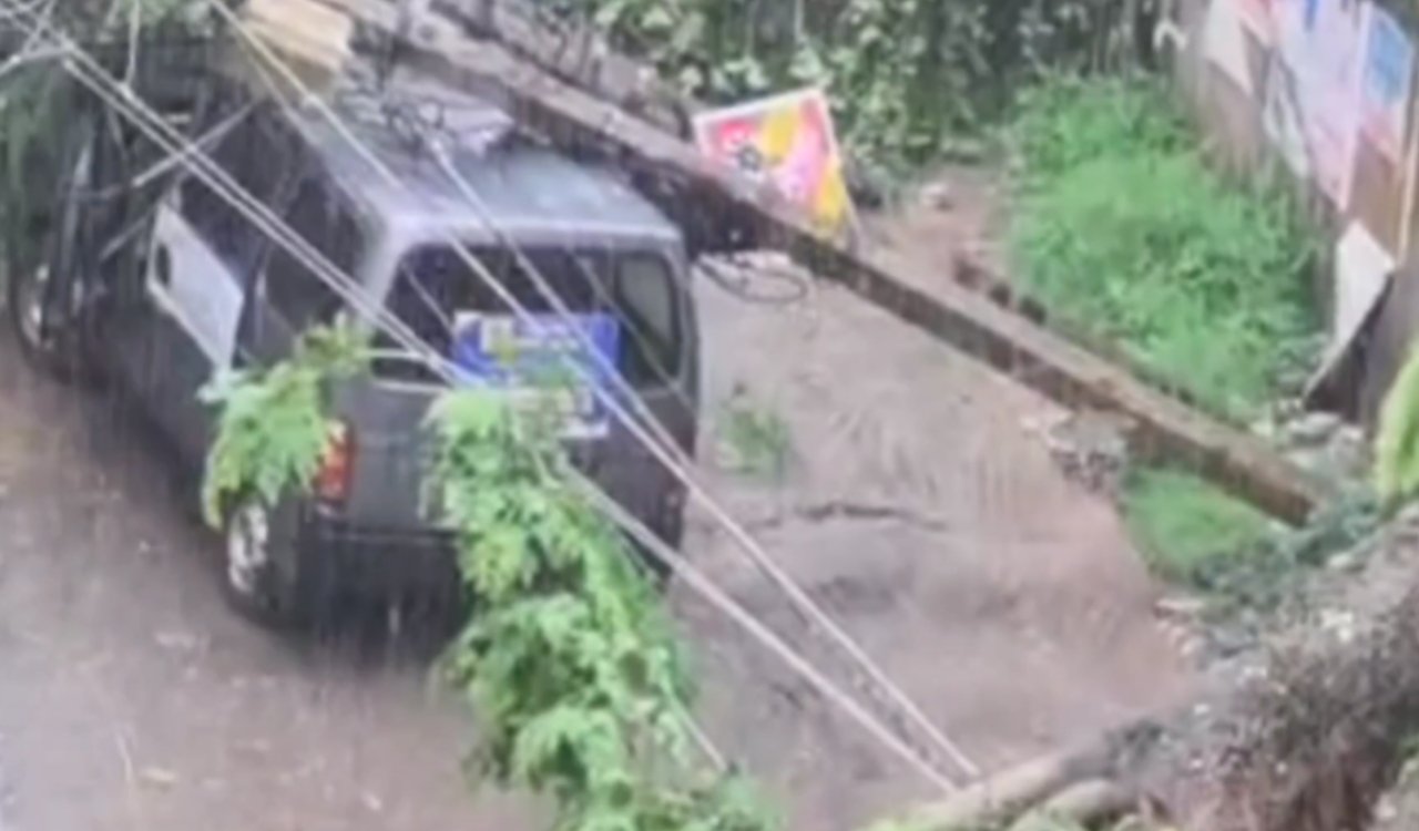 Ranchi: Tree falls on power lines near Surendranath School; major accident averted.