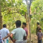 Bodies of two people found hanging in Godda; police investigating, awaiting post-mortem report.