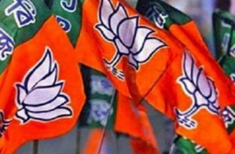 Spreading confusion about delimitation is driven by political self-interest; the public should not be misled: Mrityunjay Sharma
