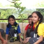 Seven-day tree plantation drive concludes in Dhanbad; 100 saplings planted.