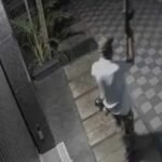 Attempted theft foiled in Ranchi's Ashok Nagar; security guard shot by his own licensed pistol.